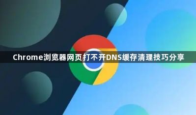 Chrome浏览器网页打不开DNS缓存清理技巧分享1