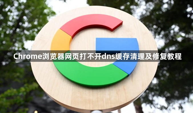 Chrome浏览器网页打不开dns缓存清理及修复教程1