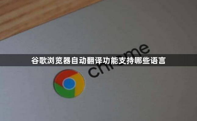 谷歌浏览器自动翻译功能支持哪些语言1