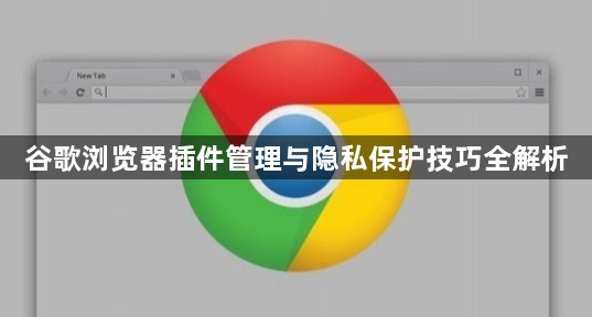 谷歌浏览器插件管理与隐私保护技巧全解析1