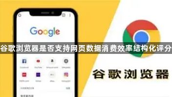 谷歌浏览器是否支持网页数据消费效率结构化评分1