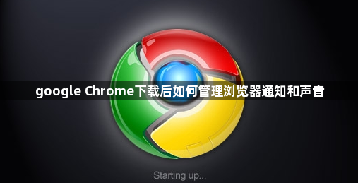 google Chrome下载后如何管理浏览器通知和声音1