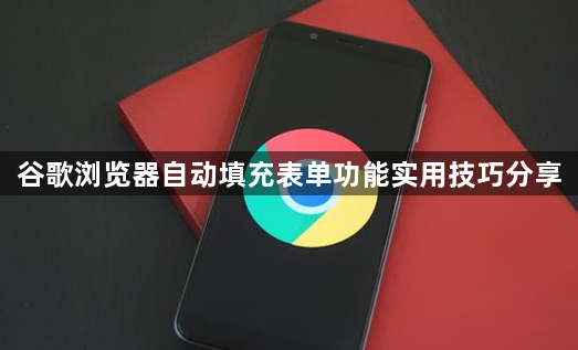 谷歌浏览器自动填充表单功能实用技巧分享1