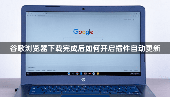 谷歌浏览器下载完成后如何开启插件自动更新1