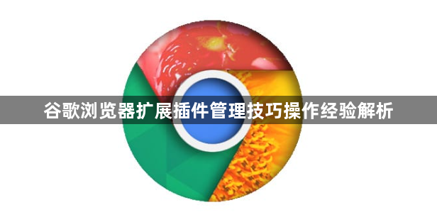 谷歌浏览器扩展插件管理技巧操作经验解析1