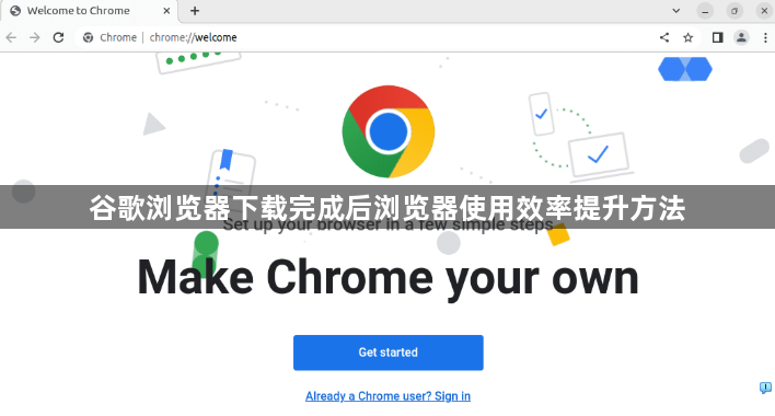 谷歌浏览器下载完成后浏览器使用效率提升方法1