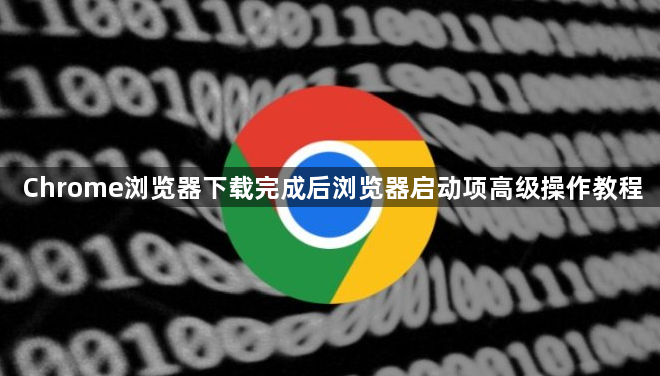 Chrome浏览器下载完成后浏览器启动项高级操作教程1