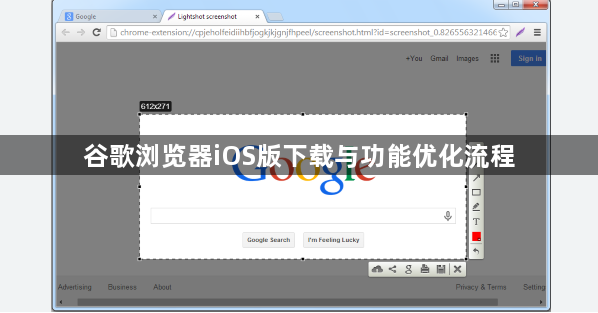 谷歌浏览器iOS版下载与功能优化流程1