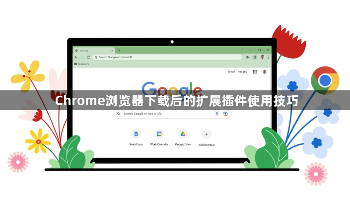 Chrome浏览器下载后的扩展插件使用技巧1