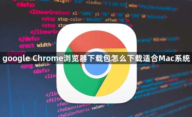 google Chrome浏览器下载包怎么下载适合Mac系统1