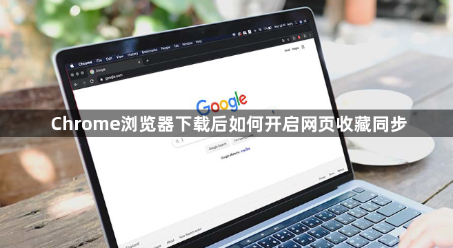 Chrome浏览器下载后如何开启网页收藏同步1