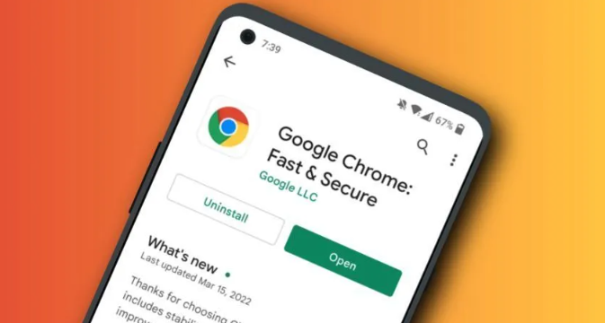 Chrome浏览器自动更新与插件管理方法