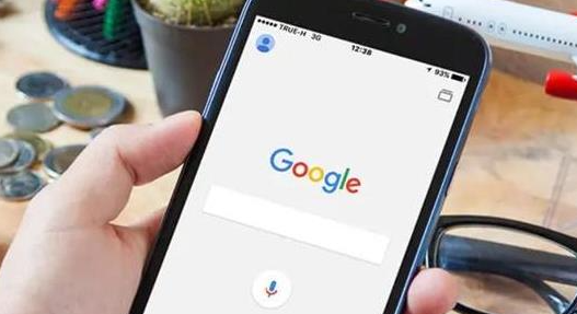google浏览器下载完成后插件预配置指南