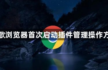 谷歌浏览器首次启动插件管理操作方法1