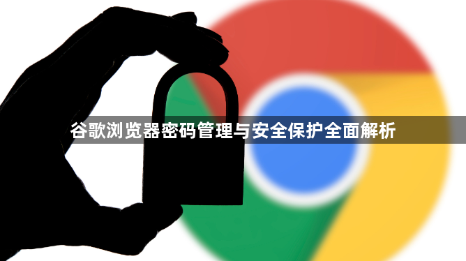谷歌浏览器密码管理与安全保护全面解析1